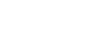 fs2-logo-1